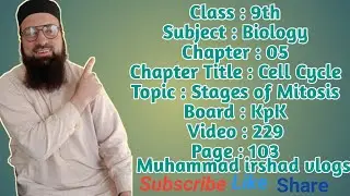 stages of Mitosis | Cell Cycle | 9th class biology in Pashto