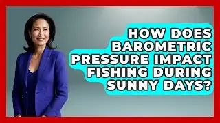 How Does Barometric Pressure Impact Fishing During Sunny Days? - Chasing Big Fish