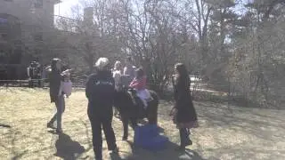 Enchanted Animal Parties pony rides