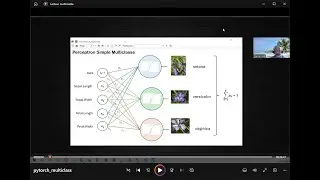 Classement multiclasse avec PyTorch (Python)