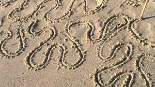 A Line in the Sand