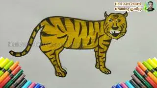 Tiger drawing | simple tiger Drawing | Tiger art | easy way to draw a tiger | chutti Tamil Drawing