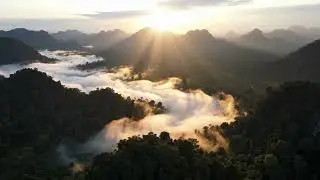 Mist Rises Over the Canopy (Clarity) - Battambang Artist | Ethereal Ambient
