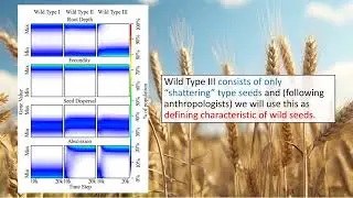 ALIFE2023: Domestication syndrome via indirect selection in simulated cereal grains
