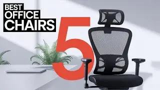 5 Best Ergonomic Office Chairs for Back Pain in 2024