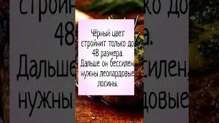 он бессилен #shorts #рек #юмор #шутки #прикол #tiktok #анекдоты #рекомендации #тикток #funny #v&iacute;deos