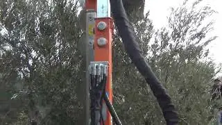 Rinieri ORP olive pruning machine