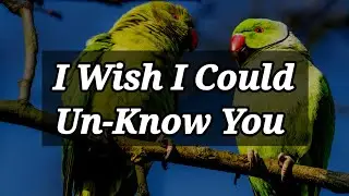 DM to DF Love messages for her 🥰💌|| I wish I could unknown you....||
