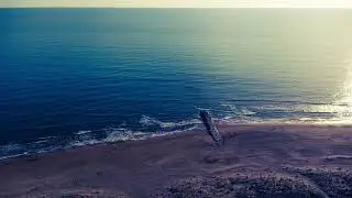 Foce Verde (Cinematic Video) #Dji Mini 4k (4k Risolution)