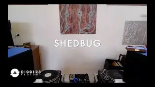 Shedbug Dj Set - Diggers Factory Festival - 04/15/2020