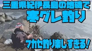 三重県紀伊長島の地磯で寒グレ釣り！フカセ釣り楽しすぎる！