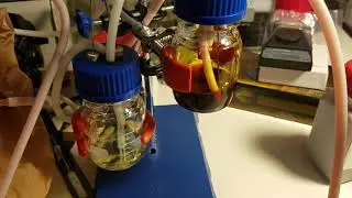 BioZen Redox Flow Battery (RFB) Prototype