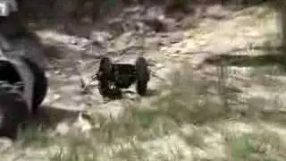 USAR Response Robot Marsupial Cooperation