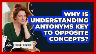 Why Is Understanding Antonyms Key To Opposite Concepts? - The Daily Definition