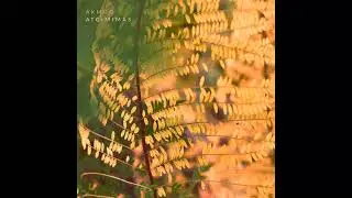 Akmuo - Kaita
