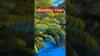 The Most Beautiful View Of World #panoramicphotography #majesticviews #gorgeousviews #viewtower #top