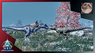 Tundra Ep.  12, Allo Hunting Ceratos (Ark Survival Ascended)