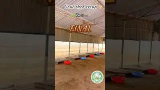 Goat Shed Setup 🐐Part 1 🔥 Vlog 12 🚜🌿 #goat #sheep #viral #shorts #hit #song #farm #culture #vlog