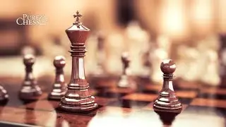 Chess latest tournament video||King Magnus vs Vishy anand||#vishyanand #Chess24 #studychess #chess