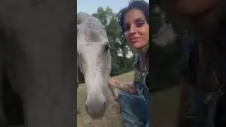 Giant Tumor Nearly Kills Abandoned & Neglected Horse - UPDATE