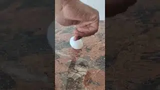 Magical Egg  #shorts #science