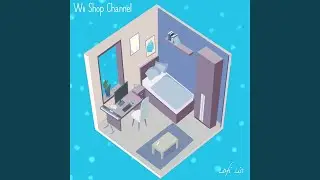 Wii Shop Channel (From 
