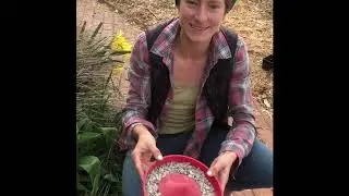 Pollinator Party