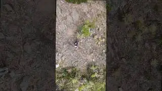 Sendero la Zarza (Duitama)