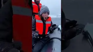 Orca Encounter: Researchers Rescue Penguin Chick in Antarctica! #Antarctica #Wildlife #Shorts