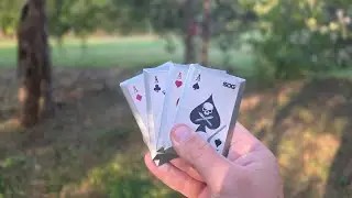 $20 Throwing Cards From Tractor Supply