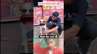 iPhone Lete Hain #tiktok #bootwala  #dogfunnyvideos #trendingshorts