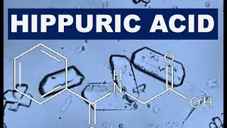 HIPPURIC ACID.