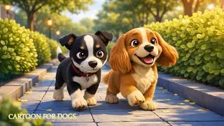 Мультфильмы для собак. Успокаивающее телевидение для собак 🐕🌈 Музыка для снятия тревоги разлуки 🐶