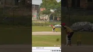 #flickshort #boundaries #trendingvideo #ipltournament #cricketlover