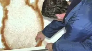 Damp Proofing & Control - Pass And Co Croydon LTD