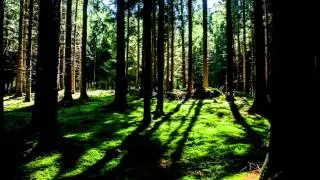 Waldconcert, Vurm (EWI Trio)