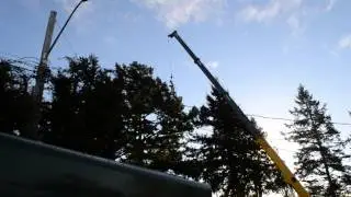 Tree removal with crane