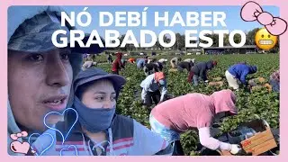 Regresó la mujer más chingona en la pisca de fresa🍓y quizo hacer de las suyas