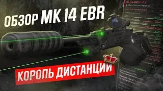 MK 14 EBR - КОРОЛЬ ДИСТАНЦИИ | Обзор MK 14 EBR в Сталкрафт | STALCRAFT X