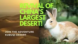 &ldquo;Kubuqi Desert: How China Turned Sand Into a Green Miracle!