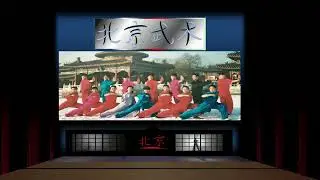 1995 Beijing Wushu Team Palace Of Fine Arts Performance