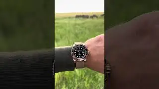 WIS Tan Nato Watch Strap on the Rolex GMT Rootbeer while on safari 🐃