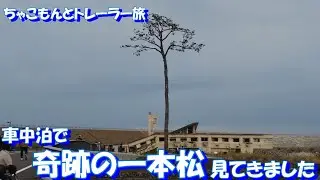 【わんことキャンピングトレーラー】