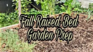 Fall Raised Bed Garden Prep / Making Comfrey Compost Tea / Garden Cleanup / Fall Plant Starts