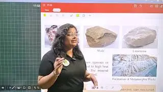 Intello Science Class 5 Chapter 7 Rocks and Minrals