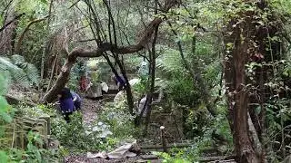 Friends of Karori Cemetery February Working Bee