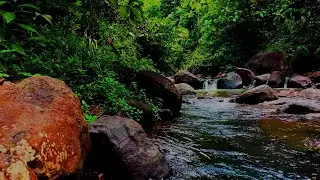 ASMR/10 🌄 PRIVATE CANYON RIVER | Exclusive Geographical Sound Portfolio