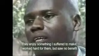 Cocoa Slavery - Ivory Coast