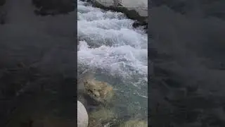 jungle inn kalam