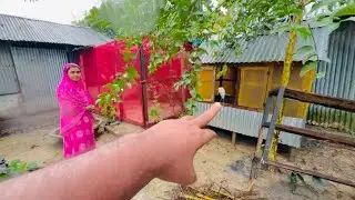 অসময়ের বৃষ্টির পানিতে কি সুন্দর মাছ | Bd life 